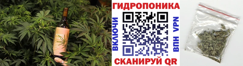 как найти   Новозыбков  Еда ТГК марихуана 