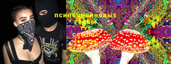 MDMA Бородино