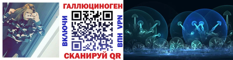 как найти наркотики  Новозыбков  Галлюциногенные грибы прущие грибы 